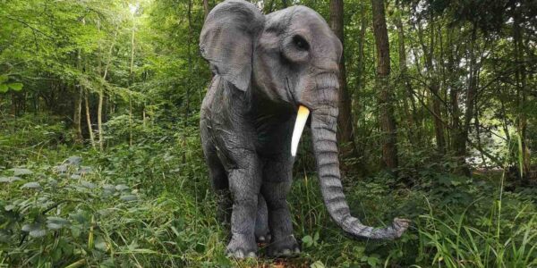 Walkabout-Elephant-Entertainment