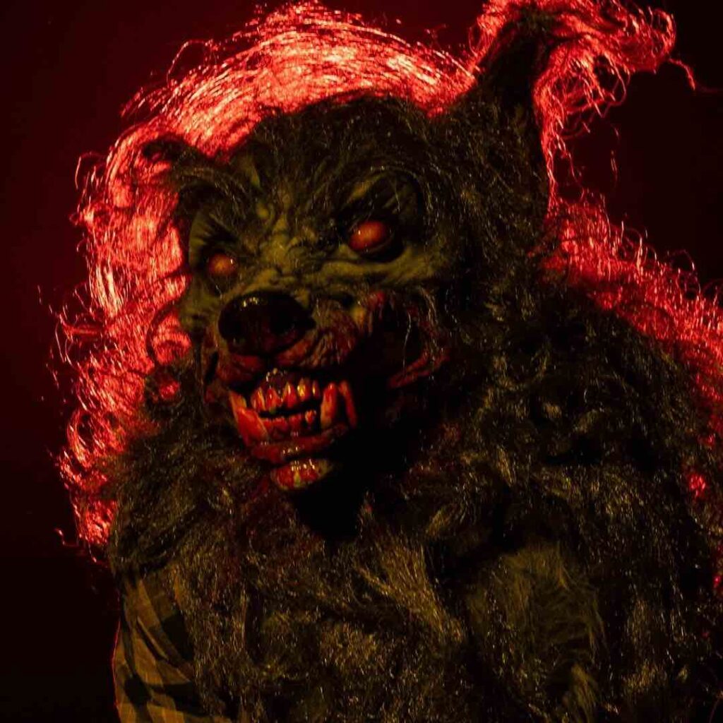 Close up photo of werewolf character with blood