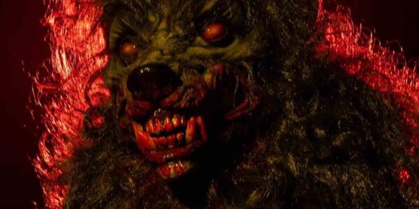 Werewolf-For-Hire