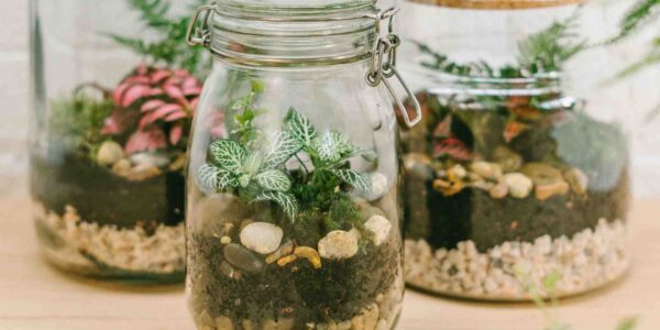 Jar-Terrariums-From-Workshop