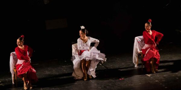 Spanish-Flamenco-Performers