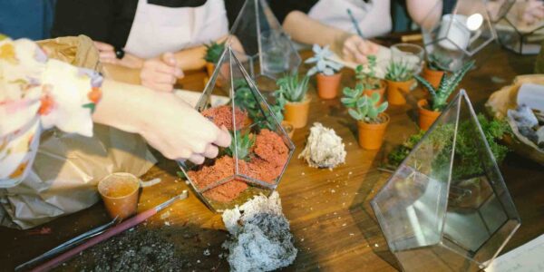 Team-Building-Terrarium-Crafting-Event