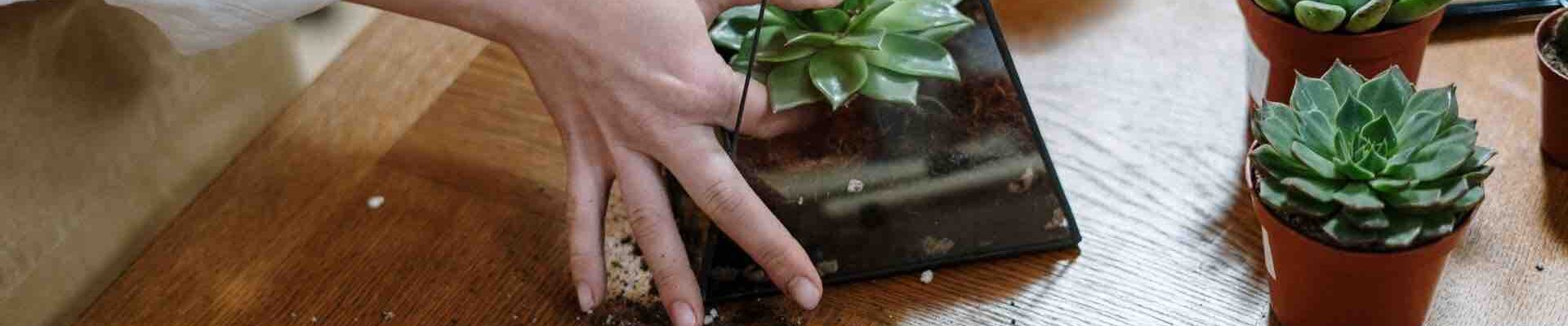Team-Building-Terrarium-Workshop Team-Building-Terrarium-Workshop