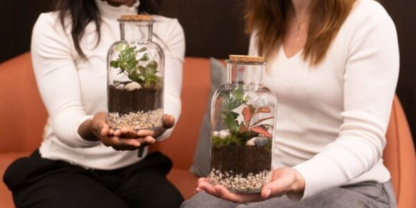 Terrarium-Workshop
