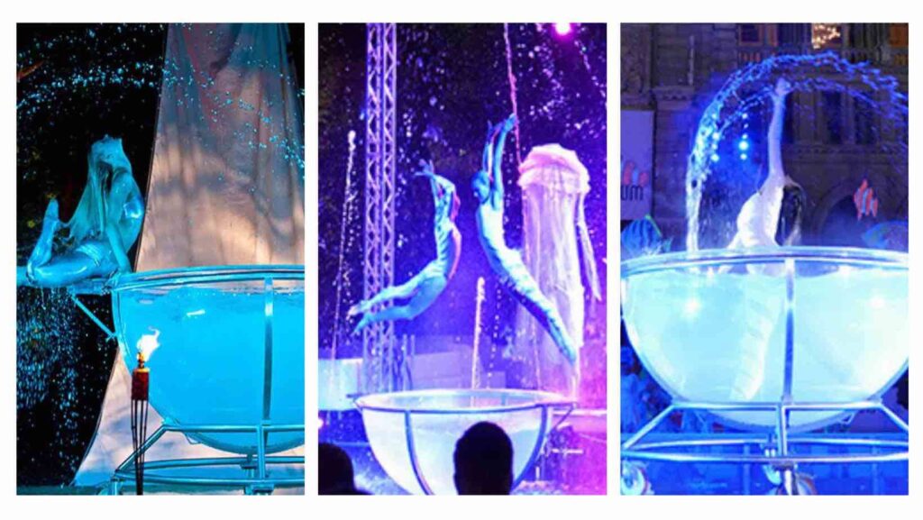 Collage image of swimming display shows.