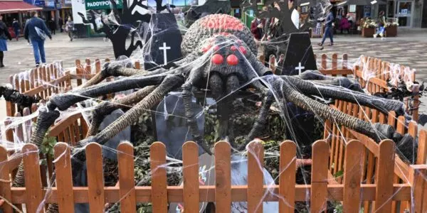 Giant spider prop installed by our team as part of Halloween activation setup for Liverpool BID.