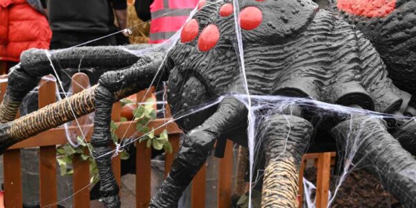 Our Halloween event company set up this giant spider prop as part of a Halloween display in Liverpool.