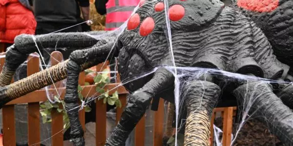 Our Halloween event company set up this giant spider prop as part of a Halloween display in Liverpool.