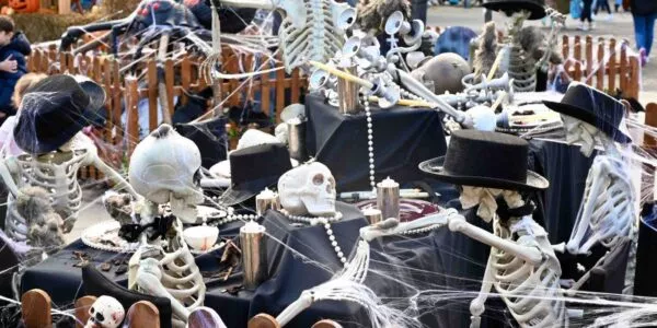 We put together this unique display of skeletons for a Liverpool town centre display.