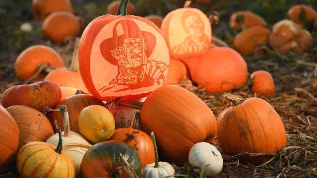 Pumpkin Carvings of Halloween Characters.
