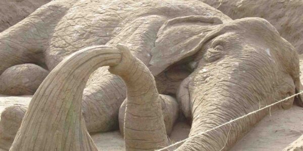 Sand-Sculpture-Of-Elephant