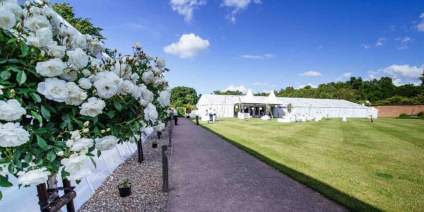 White-Rose-Bushes-At-All-White-Party