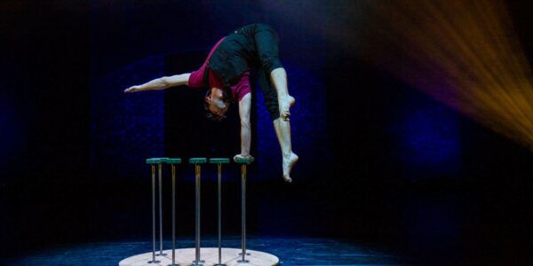 Themed-Acrobatic-Performers