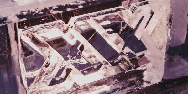 Branded-Ice-Sculpture-for-Influencer-Brand