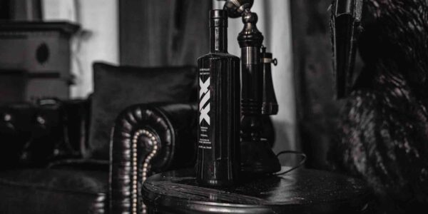 Product-Launch-Influencer-Party