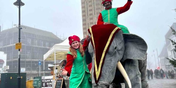 Christmas-Elephants-For-Hire