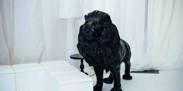 Black-and-White-Circus-Lion-Prop