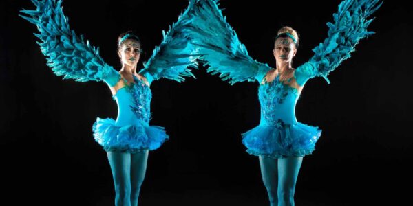 Blue-Feathered-Ballet-Dancers