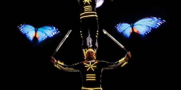 Butterfly-LED-Light-Show