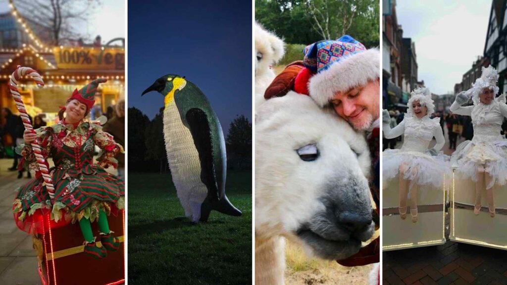 Christmas Themed Walkabout Acts for your public and private events.