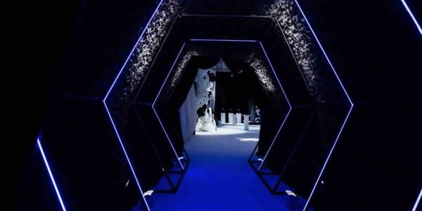 Dream-Circus-Party-Entrance