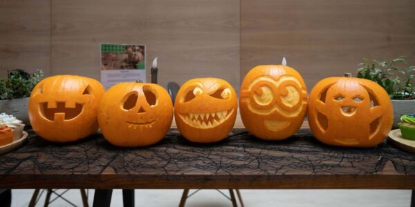 Live-Pumpkin-Carving-Guided-Workshop