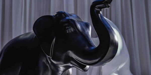 Night-Circus-Balck-Elephant-Prop
