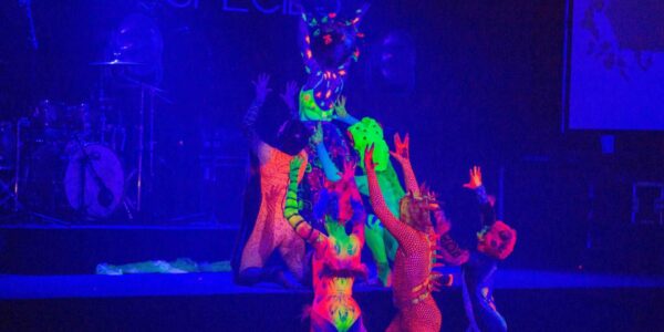 Wildlife-Themed-Dance-Production