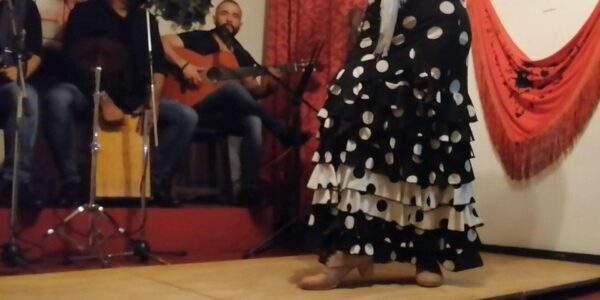 Flamenco-Dance-Entertainment