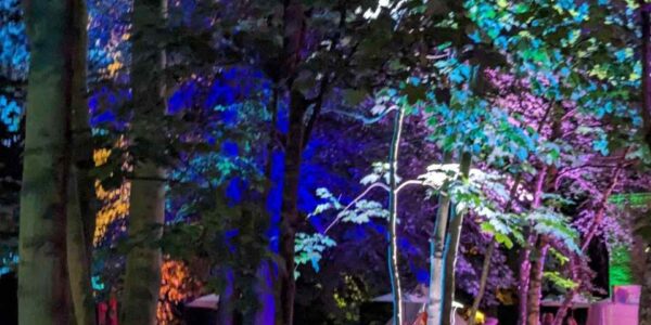 Belfry-Hotel-And-Resort-Corporate-Festival-Outdoor-Space-Lighting-Projections