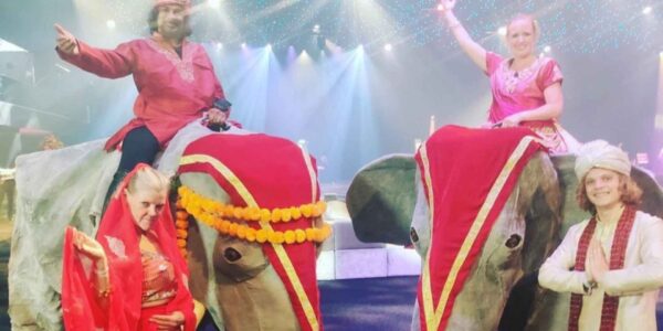 Bollywood-Themed-Elephants