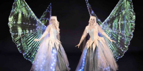 LED-Winged-Fairies-For-Hire