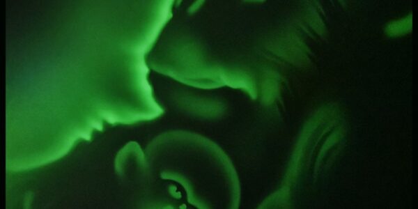 Light-Art-Show-For-Hire