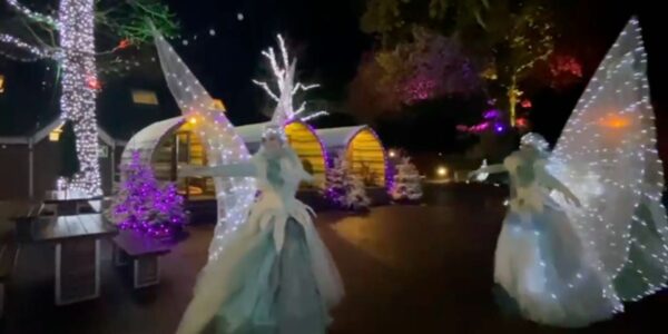Light-Up-Fairy-Characters-Outdoors