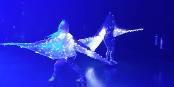 Themed-Roller-Skating-Entertainers