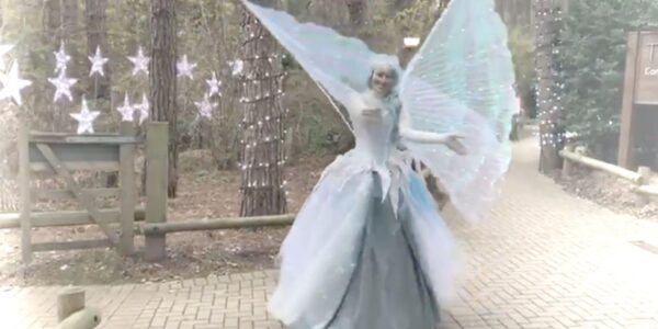 Walkabout-Fairy-Performer