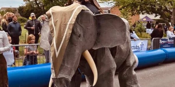 Elephant-Parade-Entertainer-For-Hire