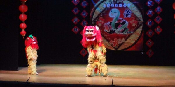 Duo-Performance-Lion-Dancers
