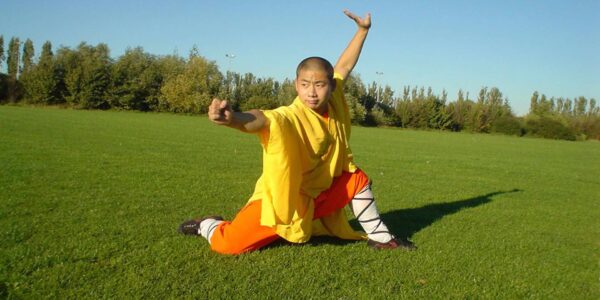 Shaolin-Kung-Fu-Entertainer