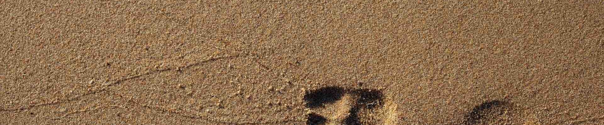 Footprint-In-Sand.jpg