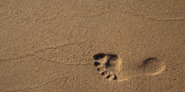 Footprint-In-Sand.jpg