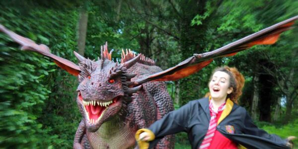 Medieval-Dragon-Being-Chased