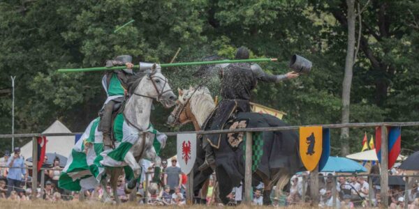 Jousting-And-Stunt-Display