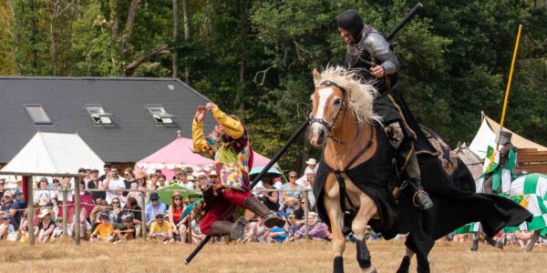 Jousting-And-Stunts-Man-In-Air
