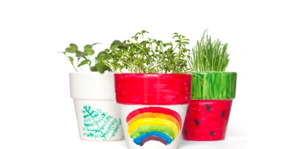 Three-Painted-Pots-For-Workshop