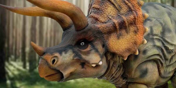 Animatronic-Dinosaur-Triceratops