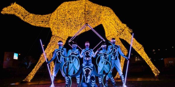 Bespoke-LED-Show-Camel