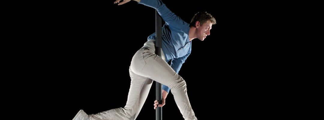 Circus-Aerial-Fly-Pole-Act Circus-Aerial-Fly-Pole-Act