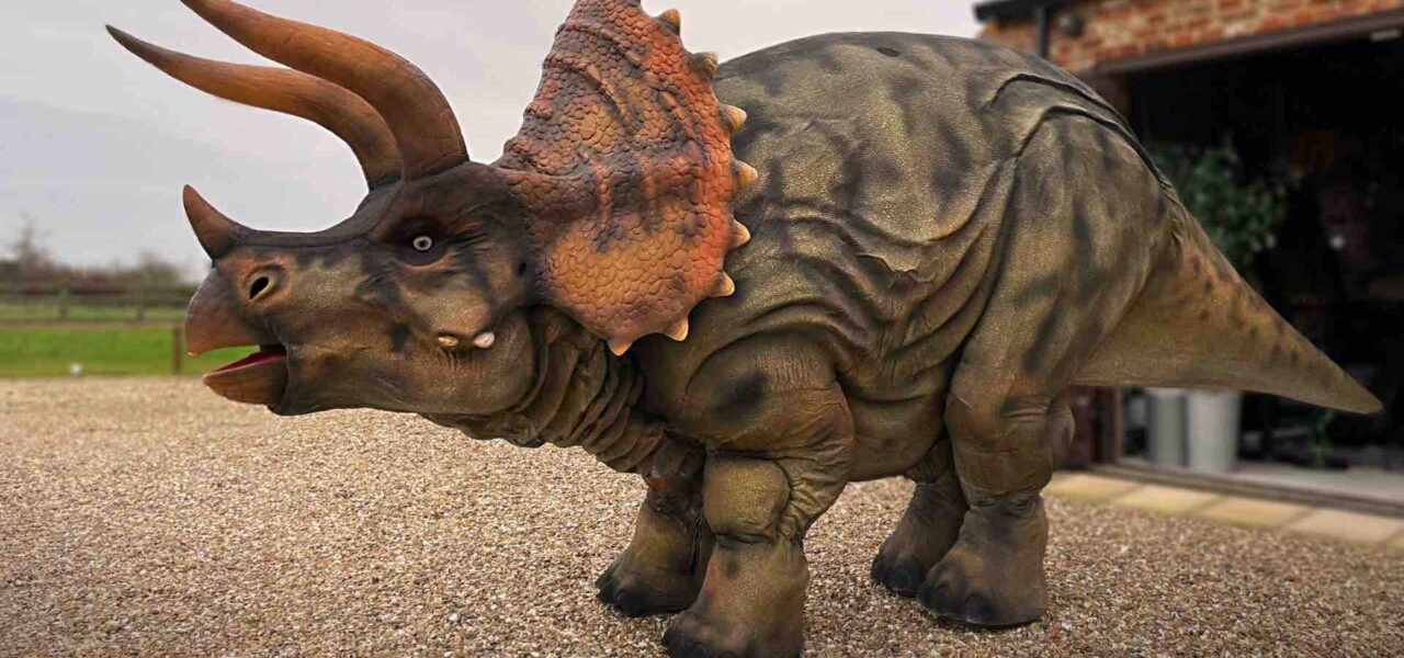 Dinosaur-For-Hire-For-Events