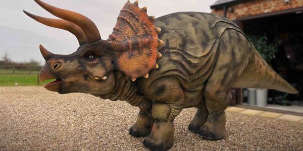 Dinosaur-For-Hire-For-Events